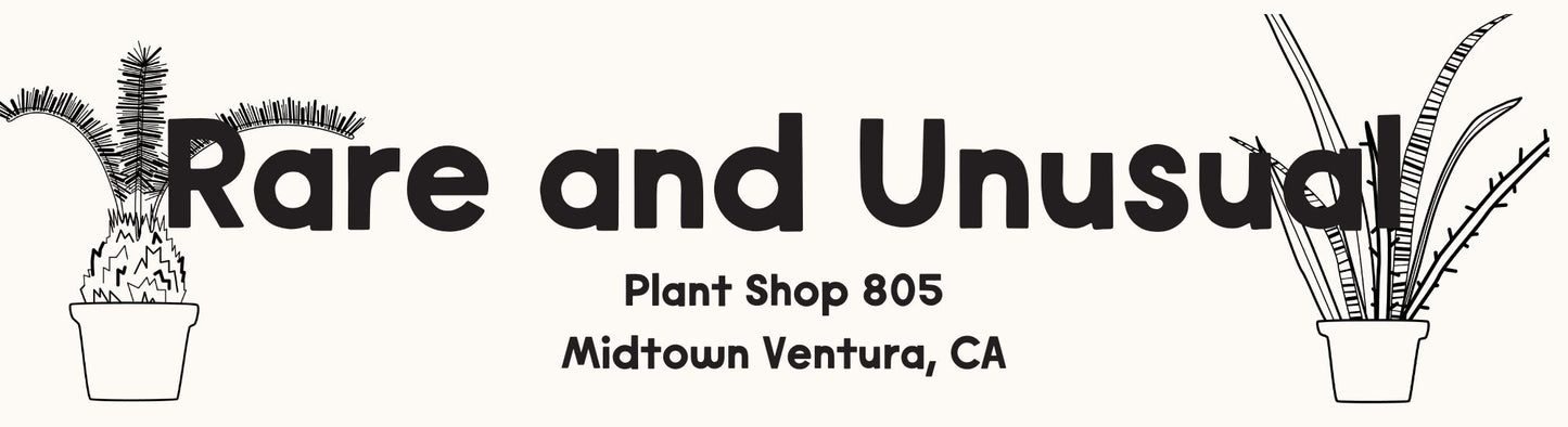 Plant Shop 805 Rare and Unusual Bumper Sticker