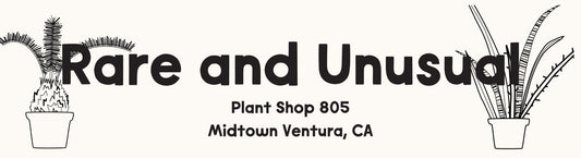 Plant Shop 805 Rare and Unusual Bumper Sticker